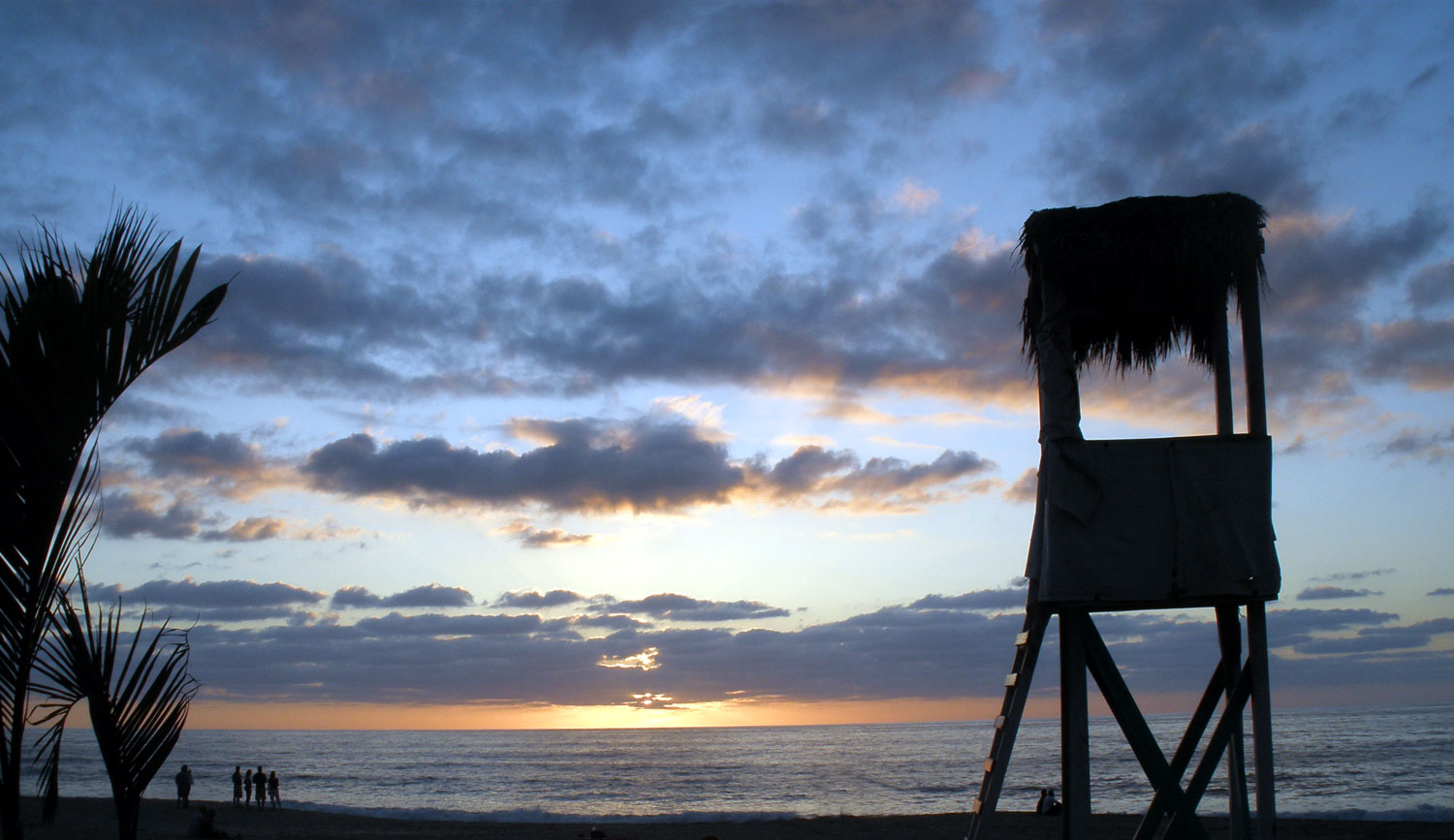 Moving along… at the speed of life.